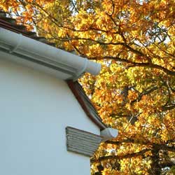 eaves detail